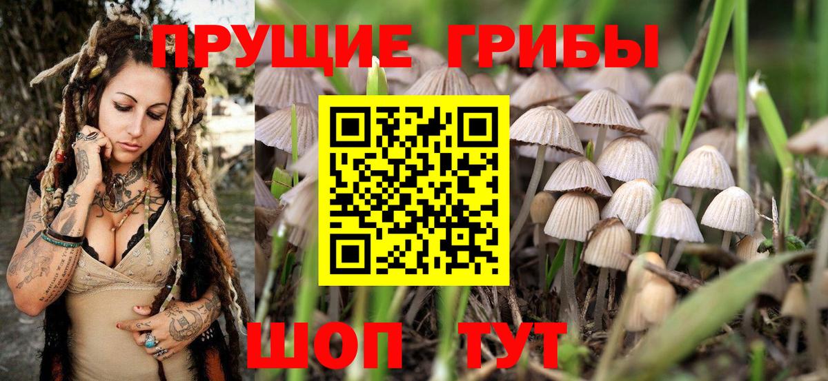 Псилоцибиновые грибы мицелий  где купить наркоту  Галлюциногенные грибы GOLDEN TEACHER  Екатеринбург  Вход с VPN 